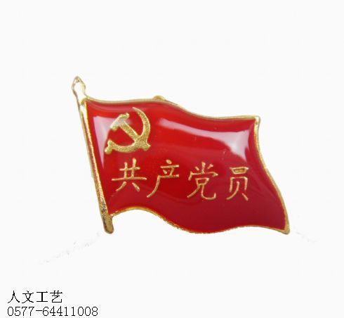 党徽胸章