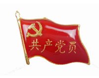 党徽胸章